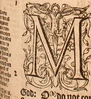 Picture 362 of 756 from The Holie Bible : conteynyng the Olde Testament and the Newe (1568), leaf 656