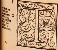 Picture 374 of 756 from The Holie Bible : conteynyng the Olde Testament and the Newe (1568), leaf 682