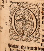 Picture 379 of 756 from The Holie Bible : conteynyng the Olde Testament and the Newe (1568), leaf 692