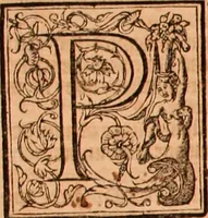 Picture 383 of 756 from The Holie Bible : conteynyng the Olde Testament and the Newe (1568), leaf 705