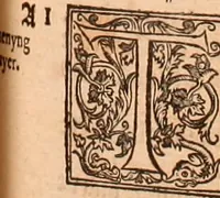 Picture 387 of 756 from The Holie Bible : conteynyng the Olde Testament and the Newe (1568), leaf 716
