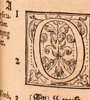 Picture 390 of 756 from The Holie Bible : conteynyng the Olde Testament and the Newe (1568), leaf 720