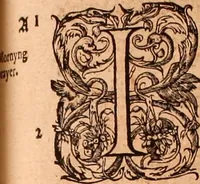 Picture 391 of 756 from The Holie Bible : conteynyng the Olde Testament and the Newe (1568), leaf 722