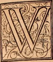 Picture 393 of 756 from The Holie Bible : conteynyng the Olde Testament and the Newe (1568), leaf 728