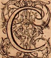 Picture 397 of 756 from The Holie Bible : conteynyng the Olde Testament and the Newe (1568), leaf 741
