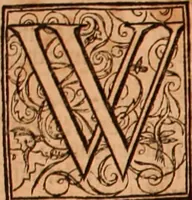An illustration from The Holie Bible : conteynyng the Olde Testament and the Newe (1568)