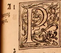 Picture 411 of 756 from The Holie Bible : conteynyng the Olde Testament and the Newe (1568), leaf 772