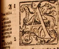 Picture 422 of 756 from The Holie Bible : conteynyng the Olde Testament and the Newe (1568), leaf 806