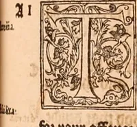 Picture 438 of 756 from The Holie Bible : conteynyng the Olde Testament and the Newe (1568), leaf 864