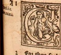 Picture 440 of 756 from The Holie Bible : conteynyng the Olde Testament and the Newe (1568), leaf 870