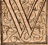 An illustration from The Holie Bible : conteynyng the Olde Testament and the Newe (1568)