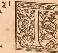 An illustration from The Holie Bible : conteynyng the Olde Testament and the Newe (1568)