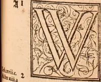 Picture 448 of 756 from The Holie Bible : conteynyng the Olde Testament and the Newe (1568), leaf 902