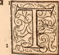 Picture 450 of 756 from The Holie Bible : conteynyng the Olde Testament and the Newe (1568), leaf 904