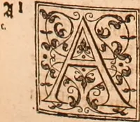 Picture 453 of 756 from The Holie Bible : conteynyng the Olde Testament and the Newe (1568), leaf 912
