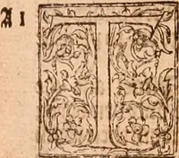 Picture 455 of 756 from The Holie Bible : conteynyng the Olde Testament and the Newe (1568), leaf 918