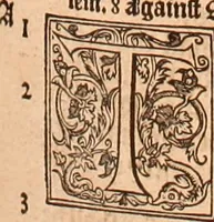 Picture 475 of 756 from The Holie Bible : conteynyng the Olde Testament and the Newe (1568), leaf 982