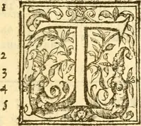 An illustration from The Holie Bible : faithfully translated into English, out of the authentical Latin. Diligently conferred with the Hebrew, Greeke, and other editions in divers languages ... (1609)