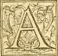 An illustration from The Holie Bible : faithfully translated into English, out of the authentical Latin. Diligently conferred with the Hebrew, Greeke, and other editions in divers languages ... (1609)