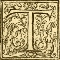 An illustration from The Holie Bible : faithfully translated into English, out of the authentical Latin. Diligently conferred with the Hebrew, Greeke, and other editions in divers languages ... (1609)