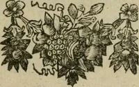 An illustration from Hollands heyll' en rampen ofte desselfs gelukk' en ongelukken : tegens malkanderen vertoond : in twee deelen ... (1686)