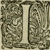 An illustration from Hollands heyll' en rampen ofte desselfs gelukk' en ongelukken : tegens malkanderen vertoond : in twee deelen ... (1686)