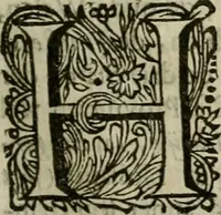 An illustration from Hollands heyll' en rampen ofte desselfs gelukk' en ongelukken : tegens malkanderen vertoond : in twee deelen ... (1686)