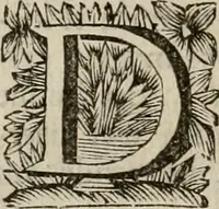 An illustration from Hollands heyll' en rampen ofte desselfs gelukk' en ongelukken : tegens malkanderen vertoond : in twee deelen ... (1686)