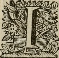 Picture 22 of 100 from Hollands heyll' en rampen ofte desselfs gelukk' en ongelukken : tegens malkanderen vertoond : in twee deelen ... (1686), leaf 133
