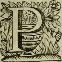Picture 23 of 100 from Hollands heyll' en rampen ofte desselfs gelukk' en ongelukken : tegens malkanderen vertoond : in twee deelen ... (1686), leaf 152