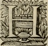 Picture 24 of 100 from Hollands heyll' en rampen ofte desselfs gelukk' en ongelukken : tegens malkanderen vertoond : in twee deelen ... (1686), leaf 155