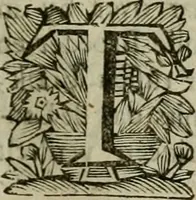 An illustration from Hollands heyll' en rampen ofte desselfs gelukk' en ongelukken : tegens malkanderen vertoond : in twee deelen ... (1686)