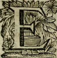 An illustration from Hollands heyll' en rampen ofte desselfs gelukk' en ongelukken : tegens malkanderen vertoond : in twee deelen ... (1686)