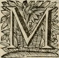 An illustration from Hollands heyll' en rampen ofte desselfs gelukk' en ongelukken : tegens malkanderen vertoond : in twee deelen ... (1686)