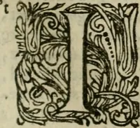 An illustration from Hollands heyll' en rampen ofte desselfs gelukk' en ongelukken : tegens malkanderen vertoond : in twee deelen ... (1686)