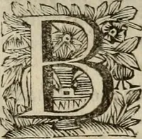 Picture 31 of 100 from Hollands heyll' en rampen ofte desselfs gelukk' en ongelukken : tegens malkanderen vertoond : in twee deelen ... (1686), leaf 213