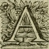An illustration from Hollands heyll' en rampen ofte desselfs gelukk' en ongelukken : tegens malkanderen vertoond : in twee deelen ... (1686)