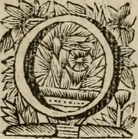 An illustration from Hollands heyll' en rampen ofte desselfs gelukk' en ongelukken : tegens malkanderen vertoond : in twee deelen ... (1686)