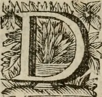 An illustration from Hollands heyll' en rampen ofte desselfs gelukk' en ongelukken : tegens malkanderen vertoond : in twee deelen ... (1686)