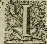 An illustration from Hollands heyll' en rampen ofte desselfs gelukk' en ongelukken : tegens malkanderen vertoond : in twee deelen ... (1686)