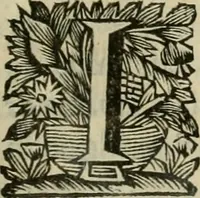 An illustration from Hollands heyll' en rampen ofte desselfs gelukk' en ongelukken : tegens malkanderen vertoond : in twee deelen ... (1686)