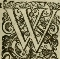 An illustration from Hollands heyll' en rampen ofte desselfs gelukk' en ongelukken : tegens malkanderen vertoond : in twee deelen ... (1686)