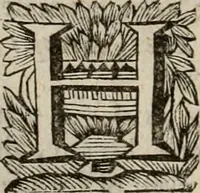 Picture 41 of 100 from Hollands heyll' en rampen ofte desselfs gelukk' en ongelukken : tegens malkanderen vertoond : in twee deelen ... (1686), leaf 265