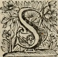 An illustration from Hollands heyll' en rampen ofte desselfs gelukk' en ongelukken : tegens malkanderen vertoond : in twee deelen ... (1686)