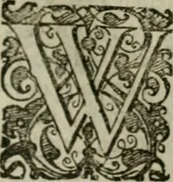 An illustration from Hollands heyll' en rampen ofte desselfs gelukk' en ongelukken : tegens malkanderen vertoond : in twee deelen ... (1686)