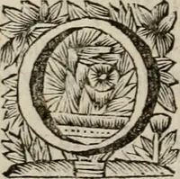 An illustration from Hollands heyll' en rampen ofte desselfs gelukk' en ongelukken : tegens malkanderen vertoond : in twee deelen ... (1686)