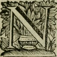 An illustration from Hollands heyll' en rampen ofte desselfs gelukk' en ongelukken : tegens malkanderen vertoond : in twee deelen ... (1686)