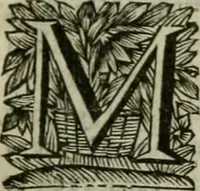 An illustration from Hollands heyll' en rampen ofte desselfs gelukk' en ongelukken : tegens malkanderen vertoond : in twee deelen ... (1686)