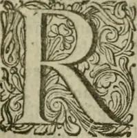 An illustration from Hollands heyll' en rampen ofte desselfs gelukk' en ongelukken : tegens malkanderen vertoond : in twee deelen ... (1686)