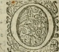 An illustration from Hollands heyll' en rampen ofte desselfs gelukk' en ongelukken : tegens malkanderen vertoond : in twee deelen ... (1686)